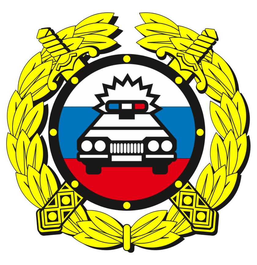 Пробив по базе ГИБДД (ГАИ)